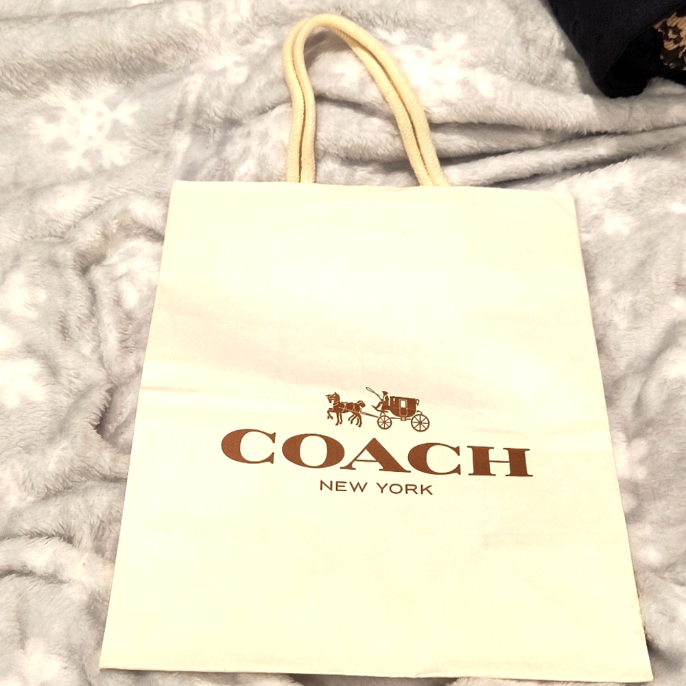 Coach Bag 8" x 10" as pictured